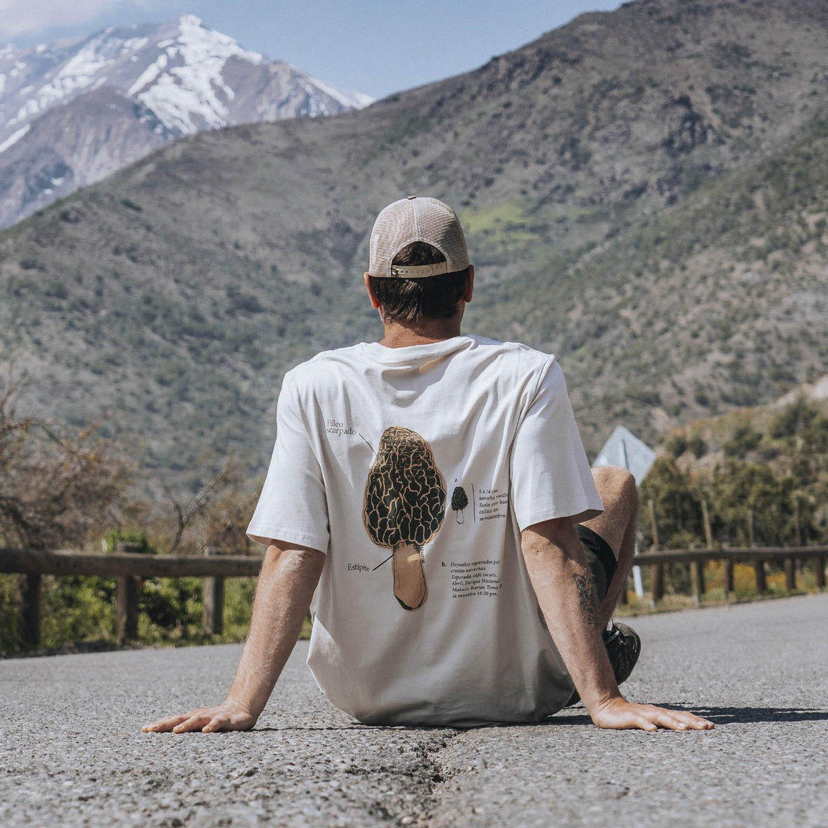 Polera hombre de algodón con estampado Morchella Esculenta, Lhotse