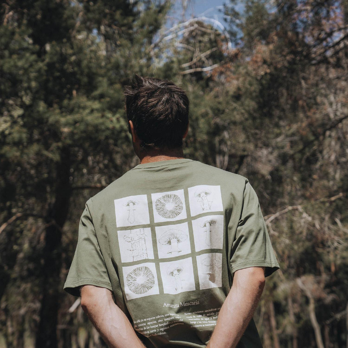 Polera hombre de algodón con estampado Amanita Muscaria, Lhotse