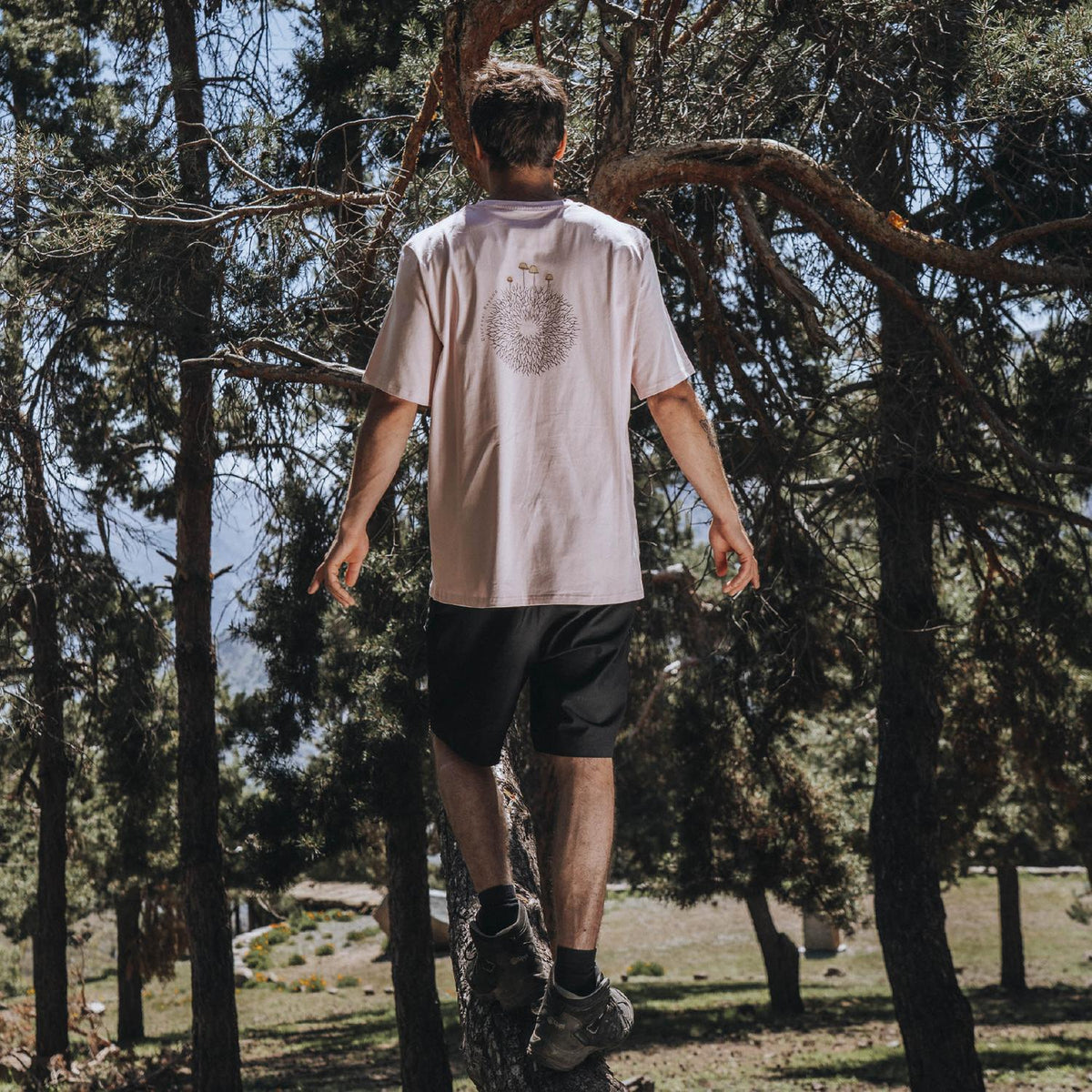 Polera hombre de algodón con estampado Micelio Mycena, Lhotse